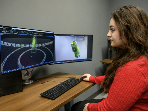 Student Zully Doyle making bird specimen 3D models